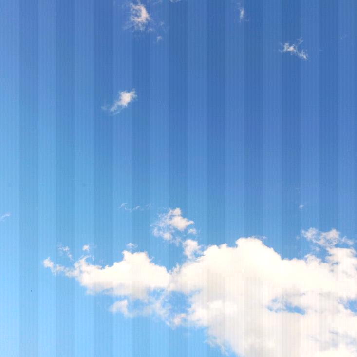 布衣天子