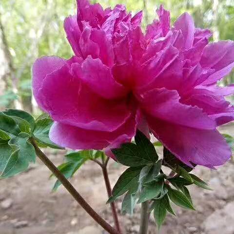 知足常乐，拒绝和拍