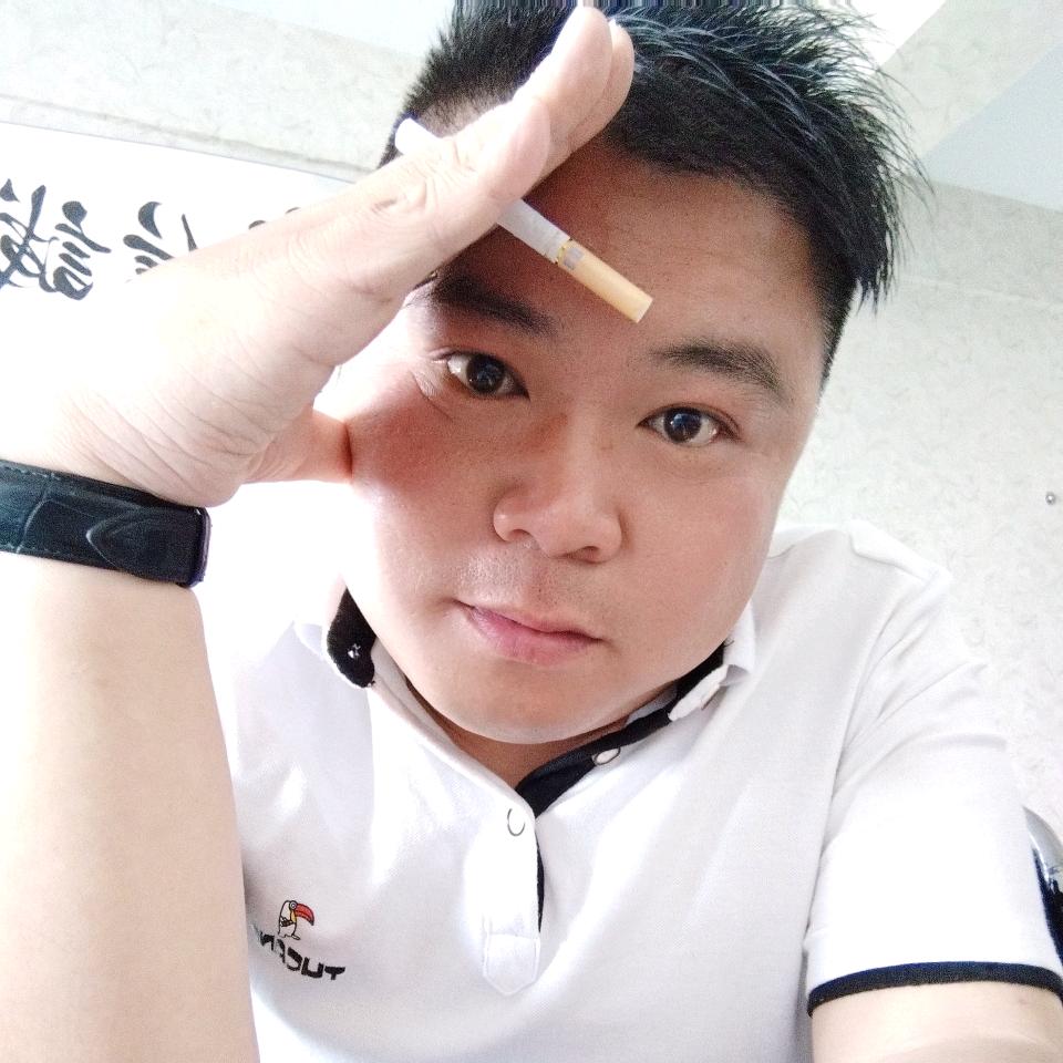 树上的蚂蚁