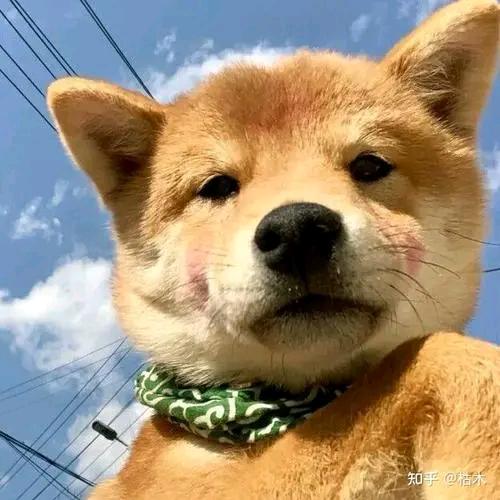 摸摸头