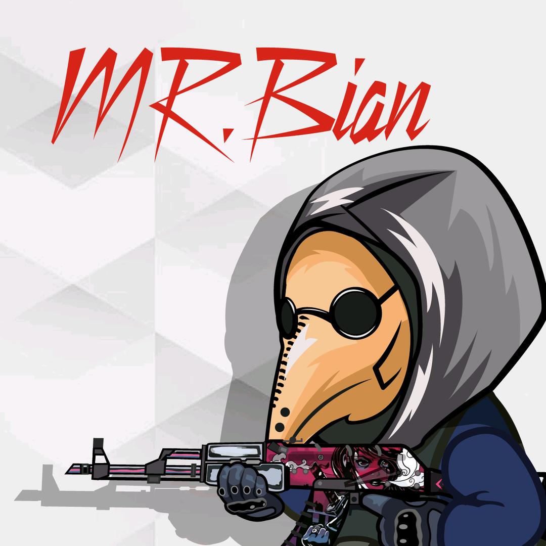MR.Bian