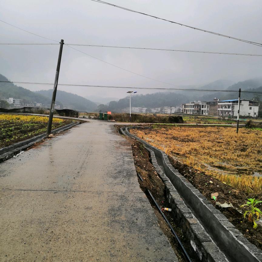 听天由命