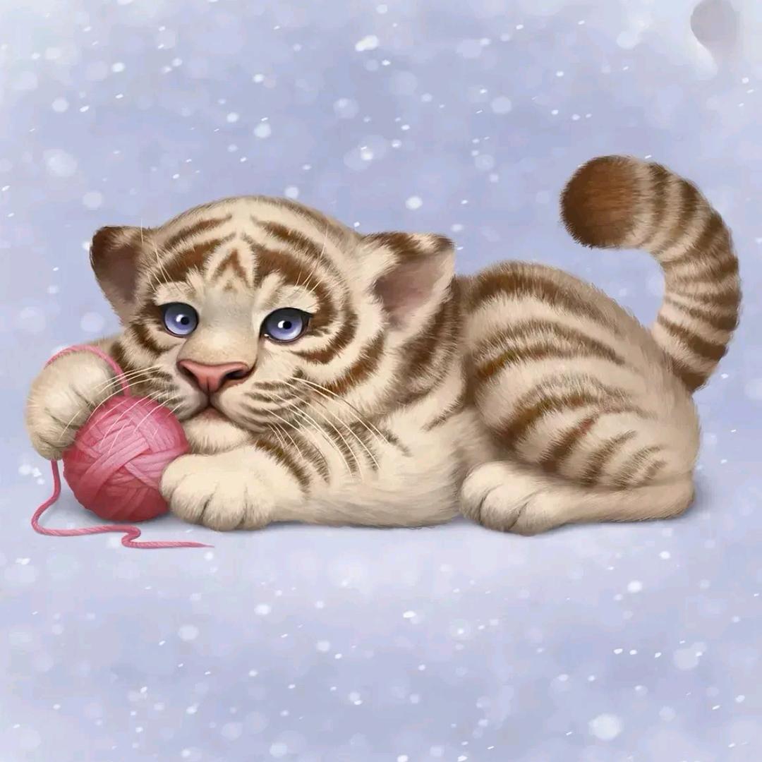 阳光灿烂的季节