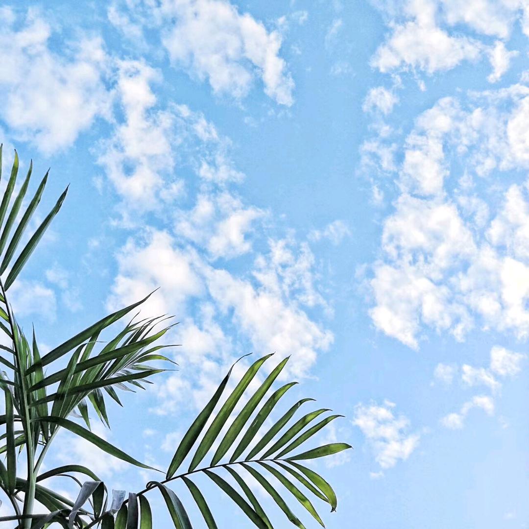 不忘初心    加油