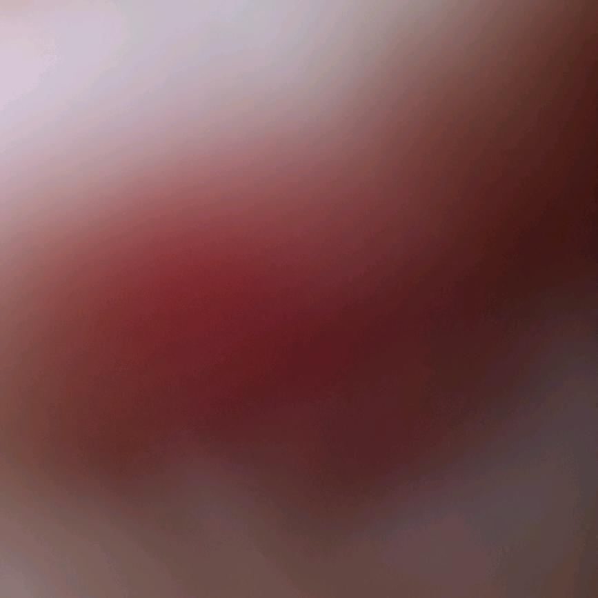 回家的欲望