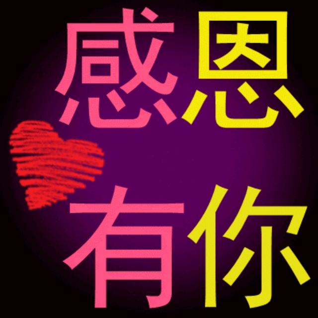 流浪的李哥