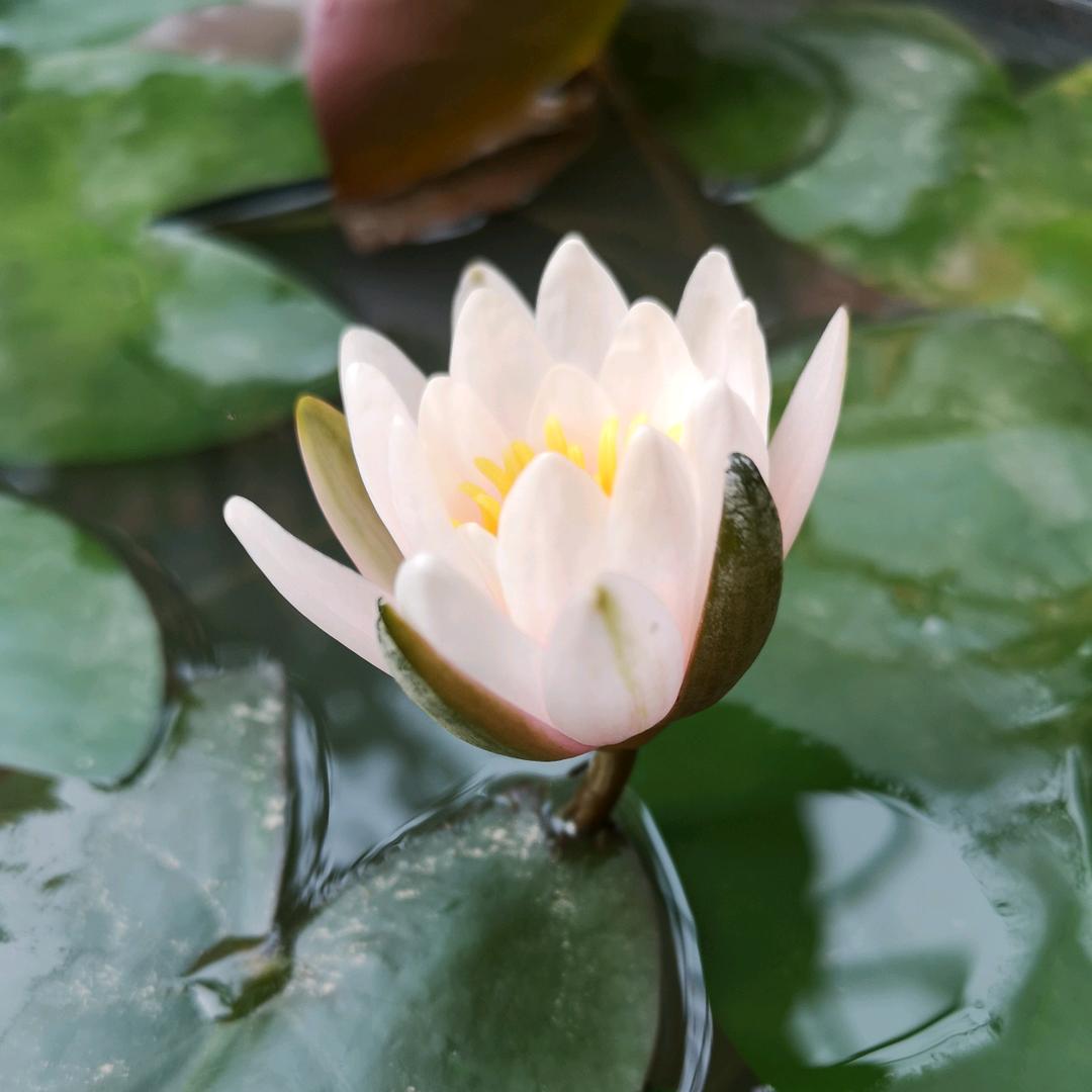 易丰山水