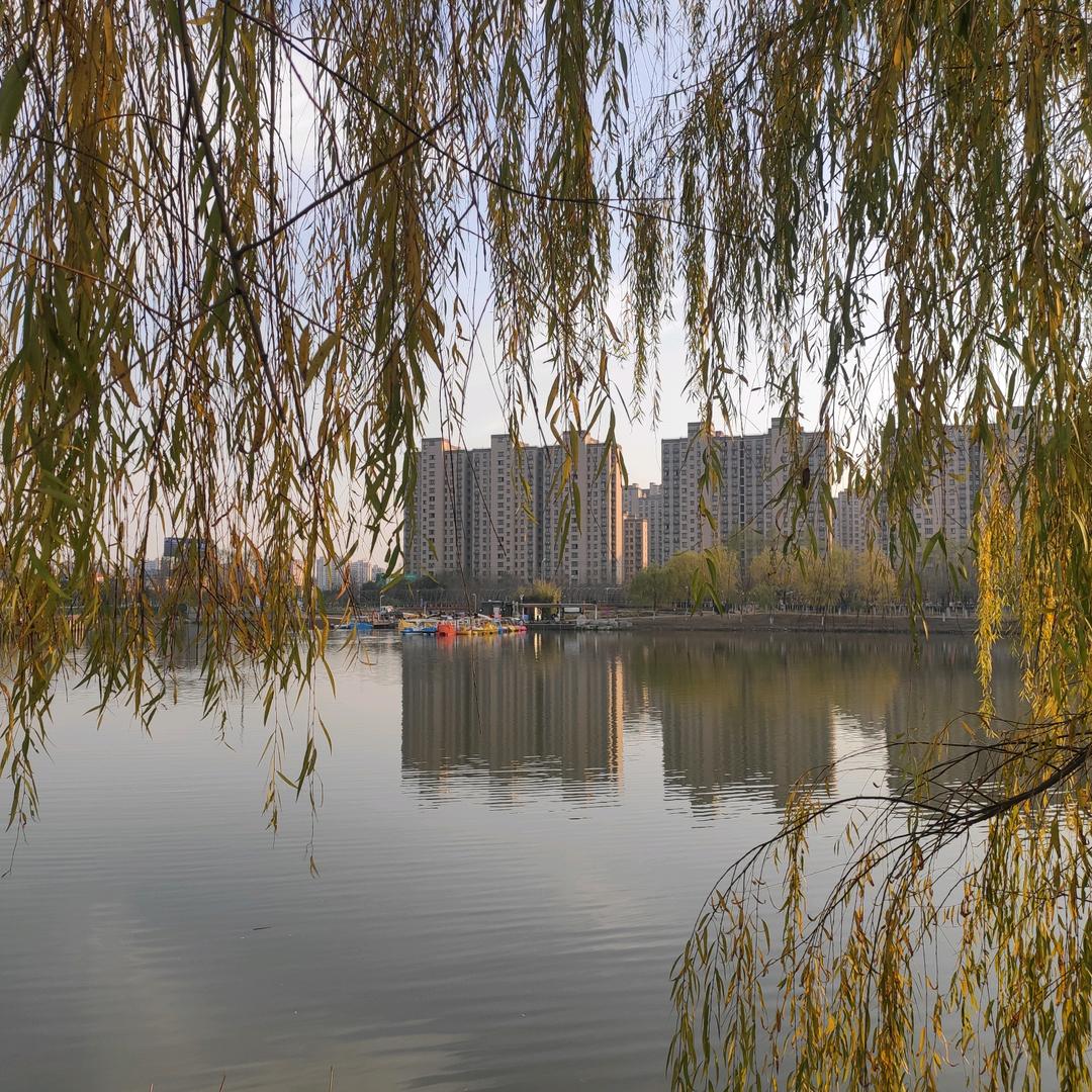 记录现实生活，感受生活点滴！