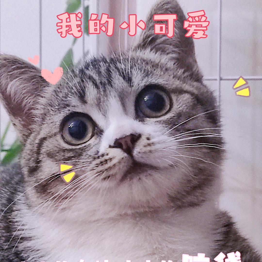 七月的雨☔