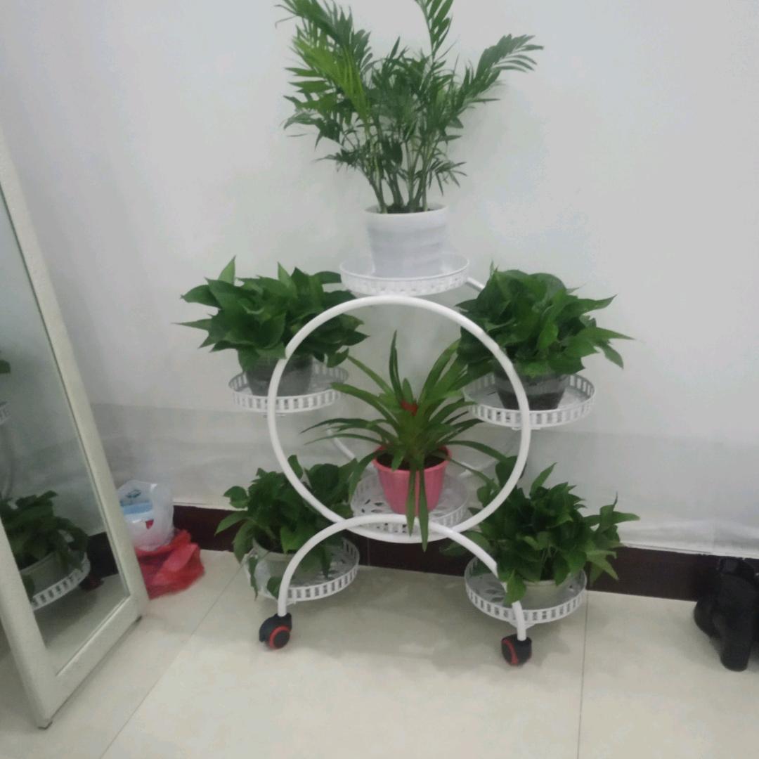 江姐