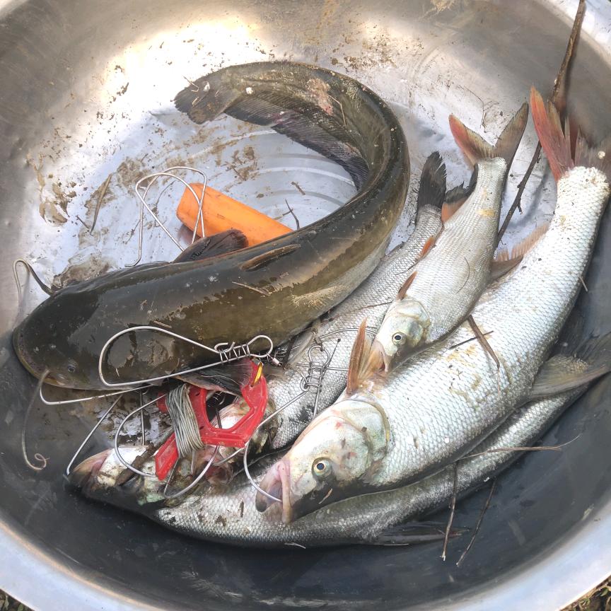 ♥╣[-_-]╠♥莫