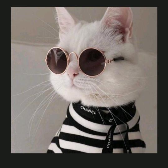 这是帅气的阿发呀！