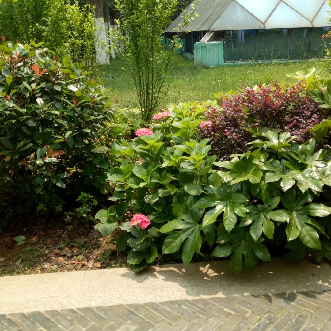 ༊ღ᭄余生💕ꦿ꯭$有你꧔ꦿ᭄💞