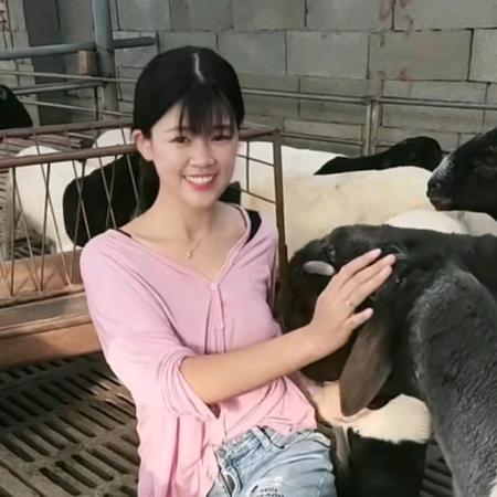 养殖妹小丁