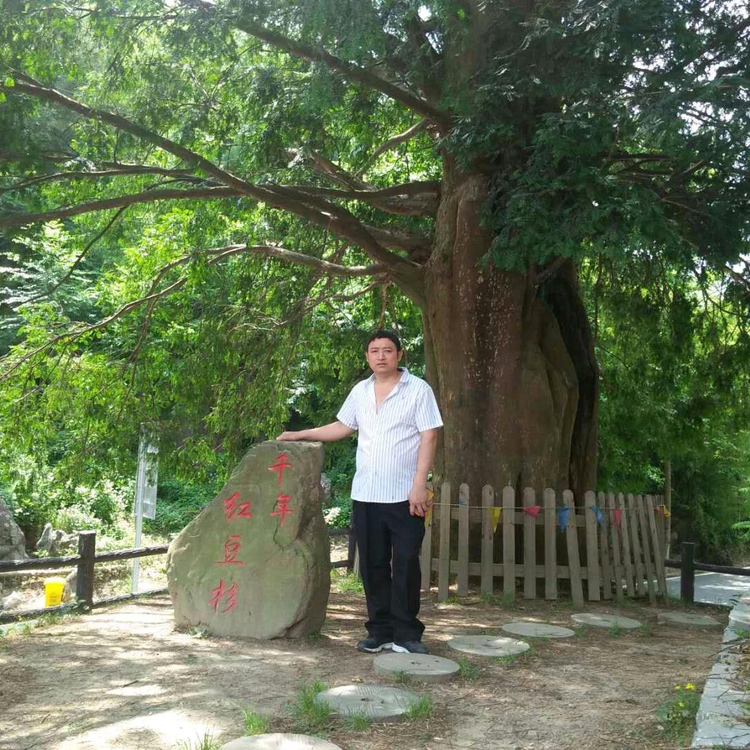 罗春宝