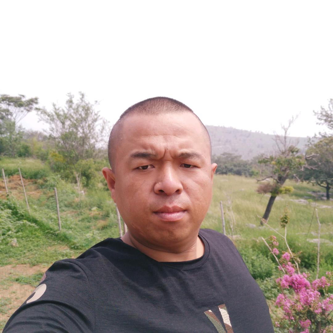 刘海普。鹤壁到郑州专线