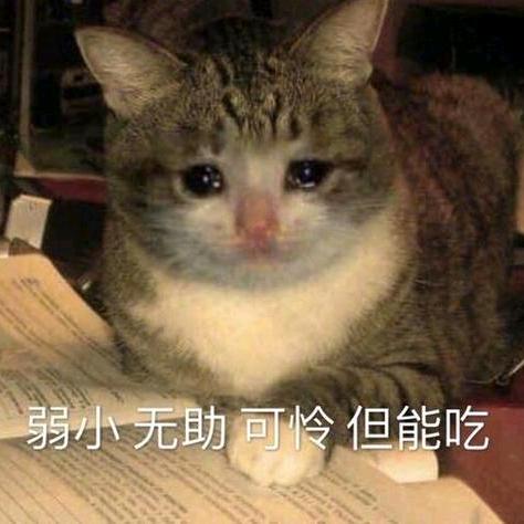 安隅
