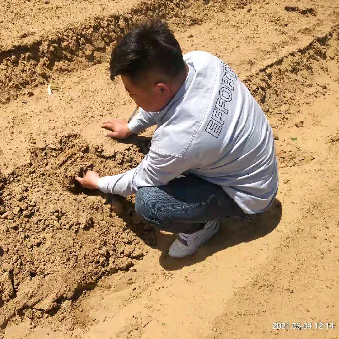 蒙邦达植保