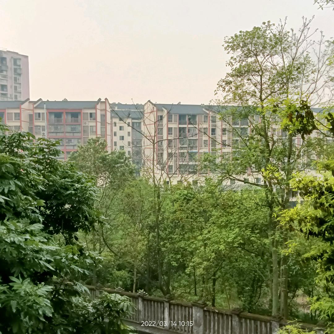 是橙子啦