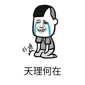 理说你有理