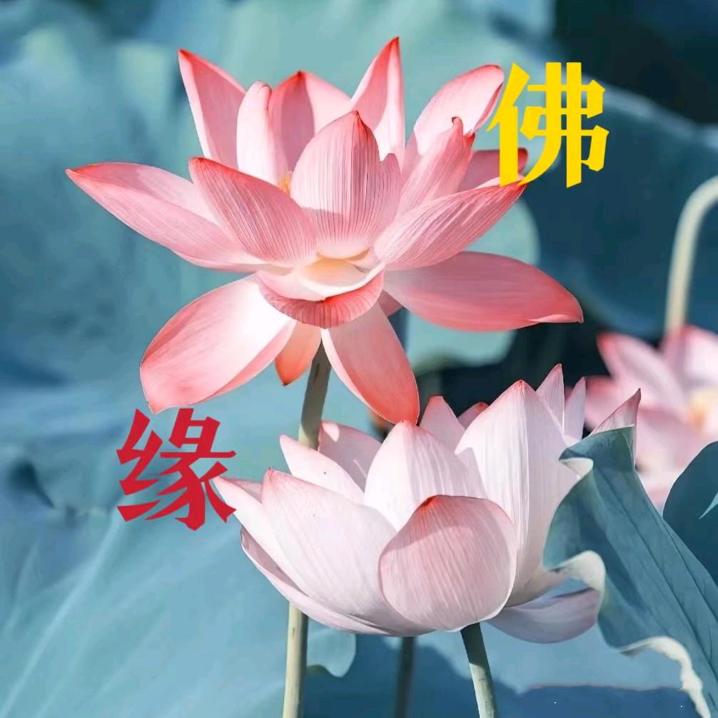 释明静(佛)