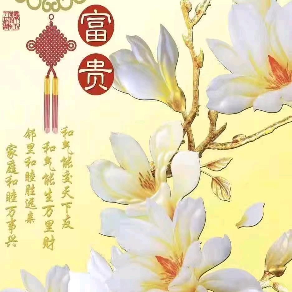 宋婉莹