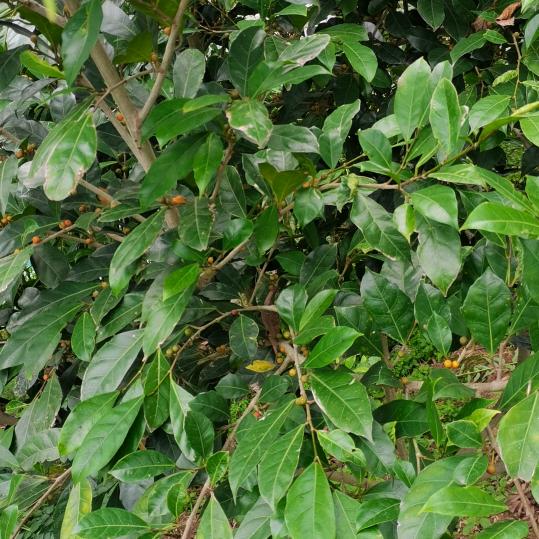 厚德载物   未来可期