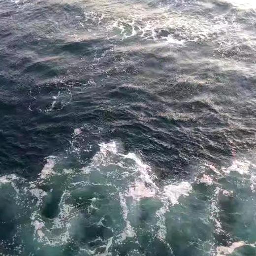 海洋