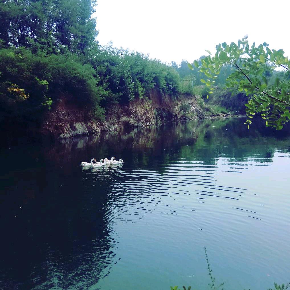 田新生物科技