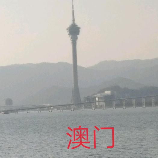 🌹️升华