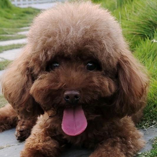 @维萨（拒绝连赞）