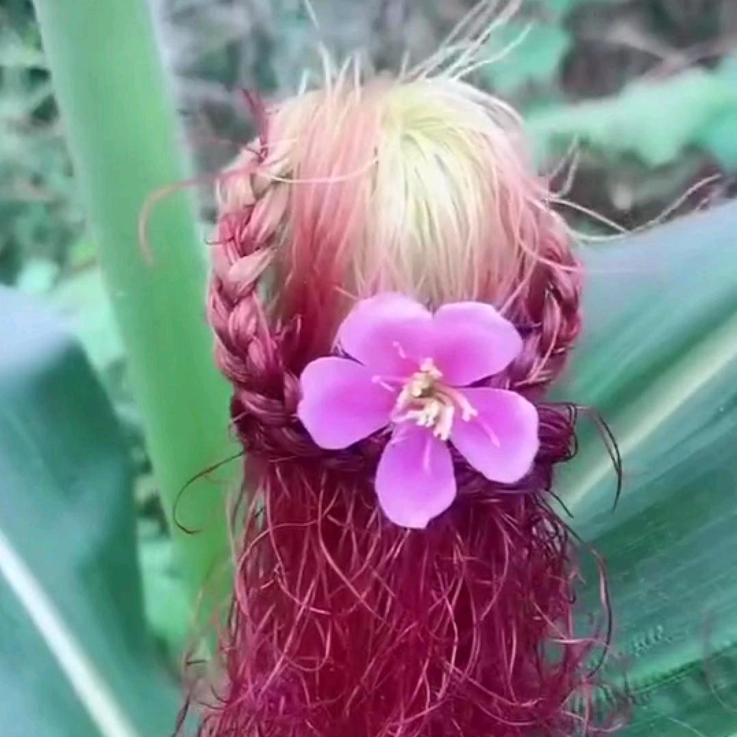 回忆起来就想哭