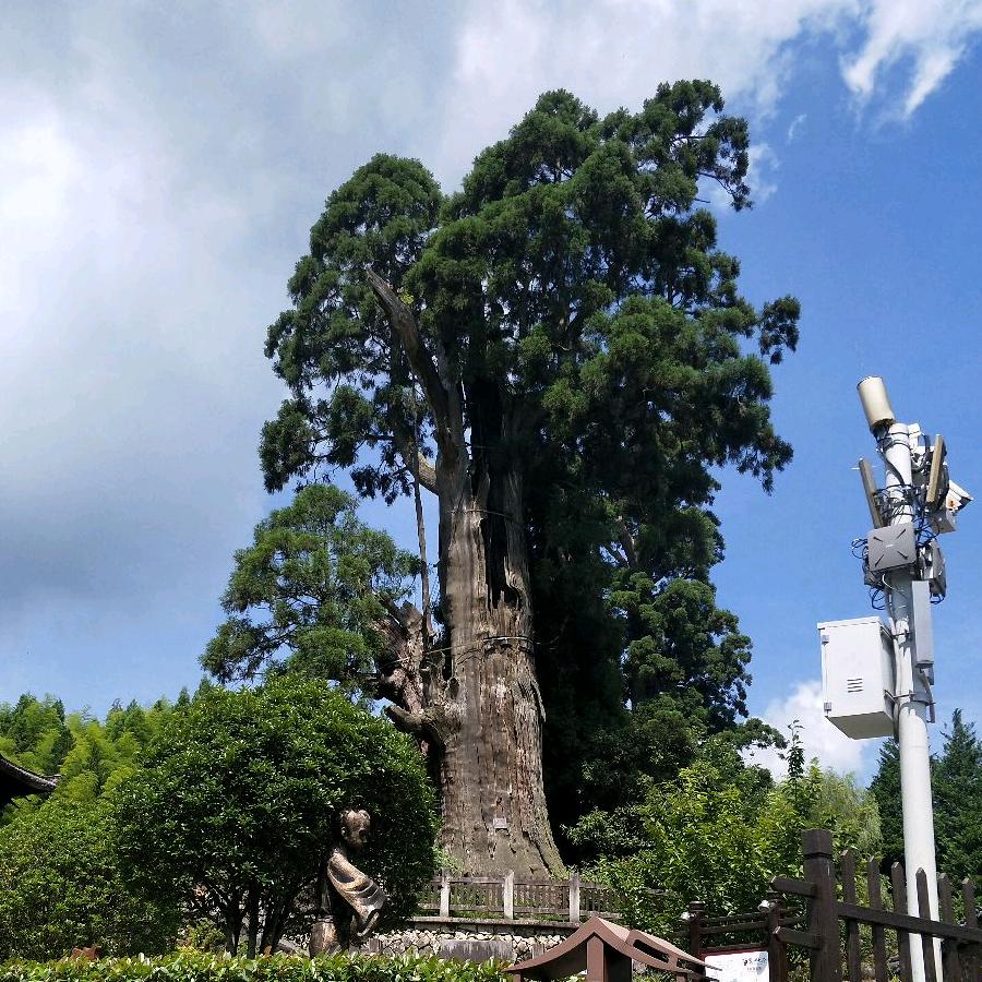 赵焕岭
