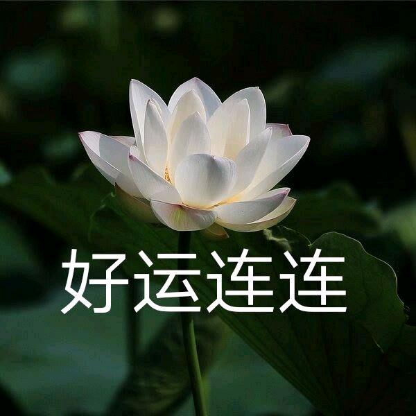 快乐过好每一天٩(๑^o^๑)۶