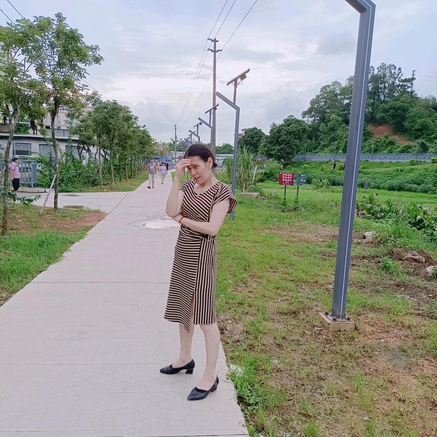 东莞装修鲜鲜