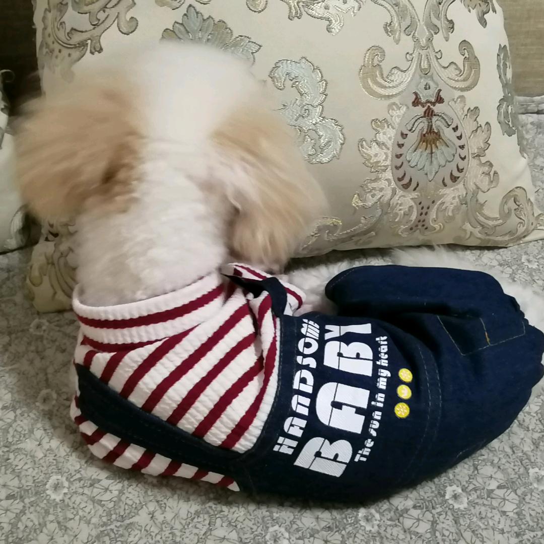静静的秋