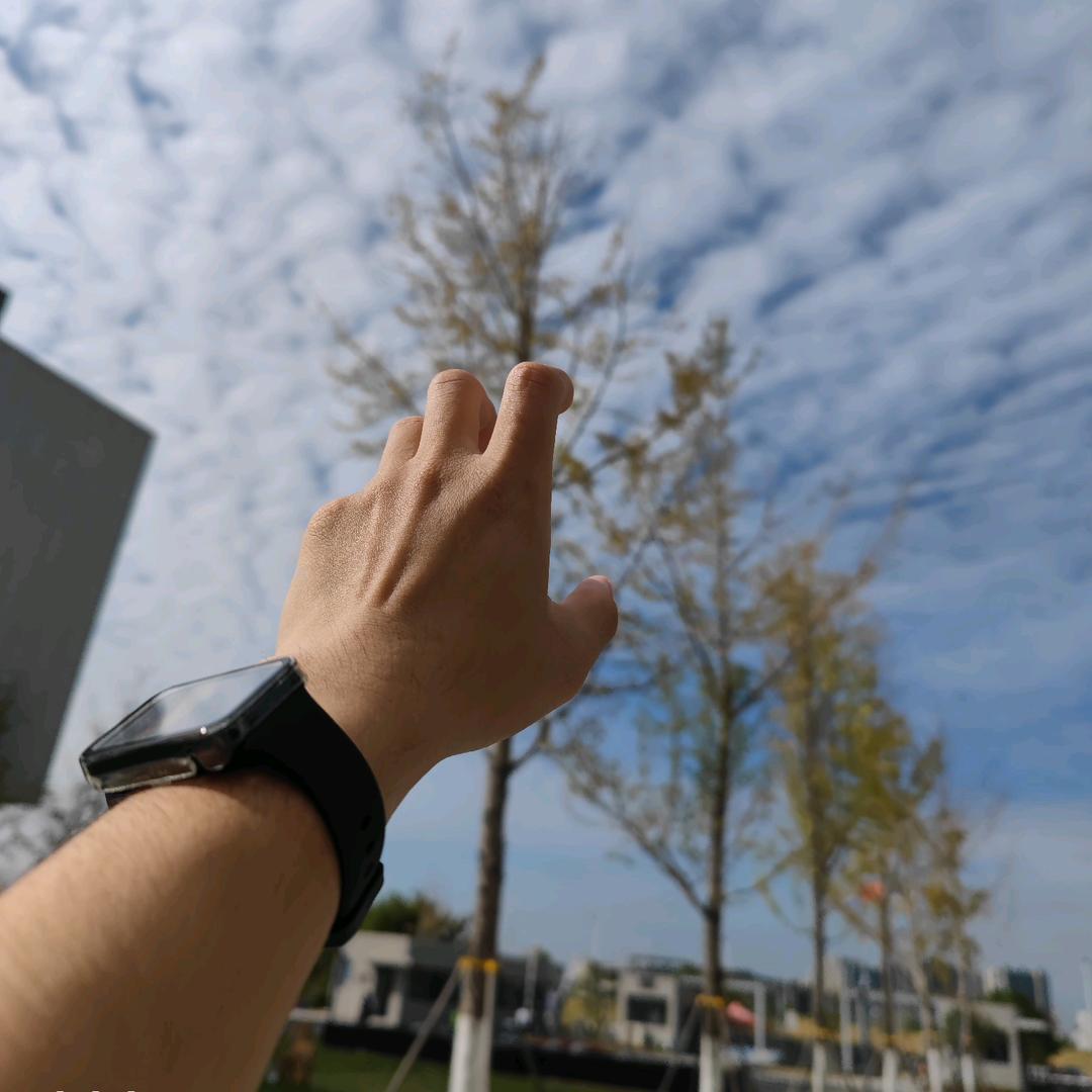 阿虎最爱吃炒饭🥦