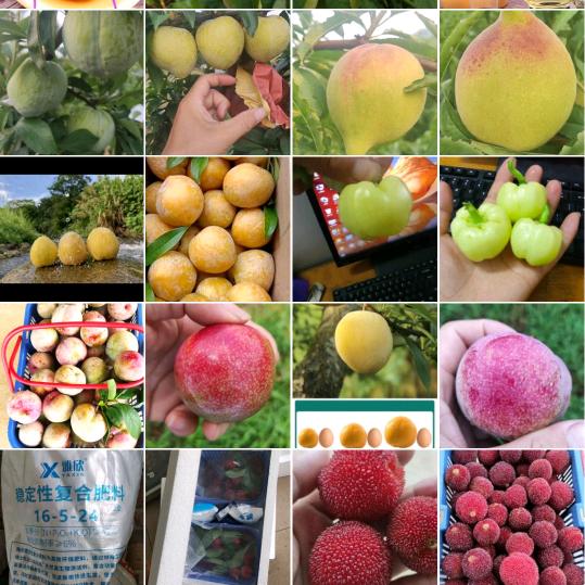 果之源农场（乡味情）