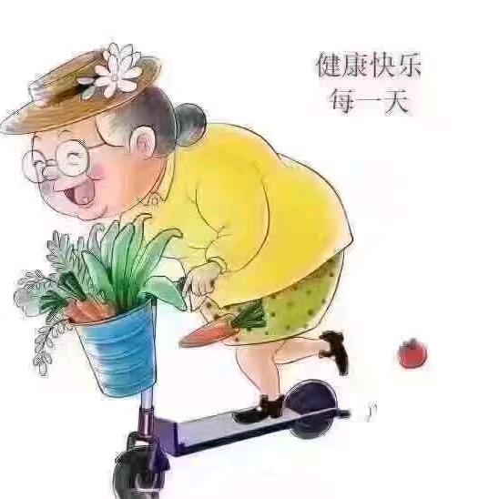 悠然玫瑰