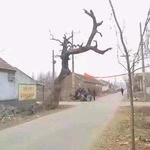 赵振昌
