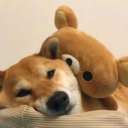 郭抗抗