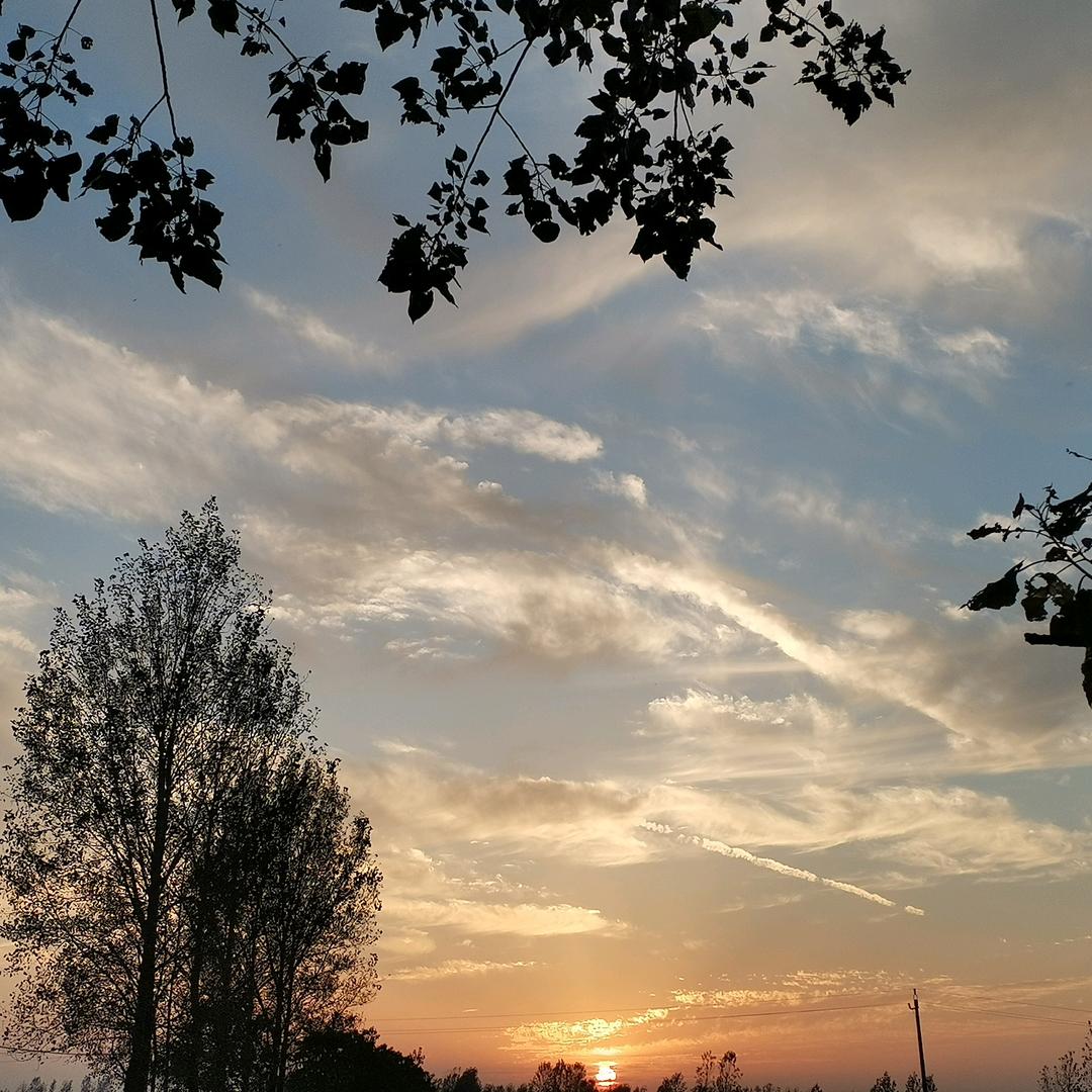 劳资再也不信任何人