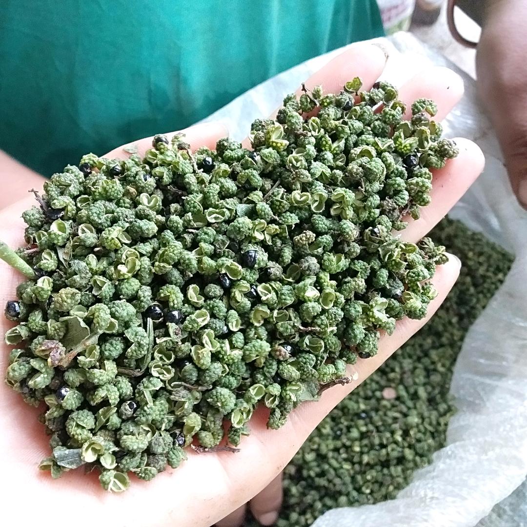 金阳花椒，菲菲