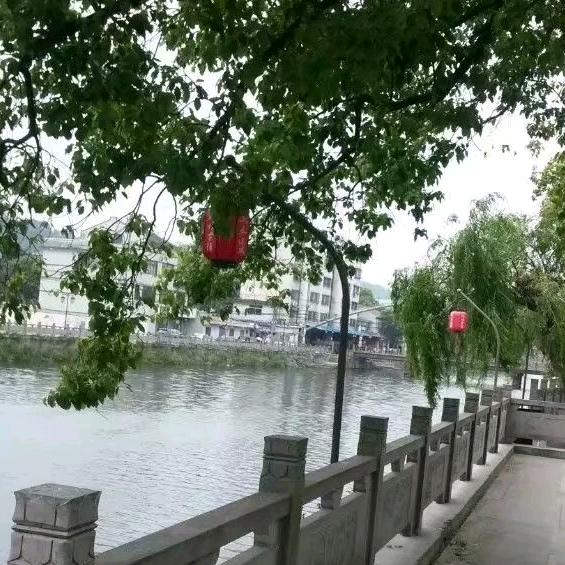 风雨人生