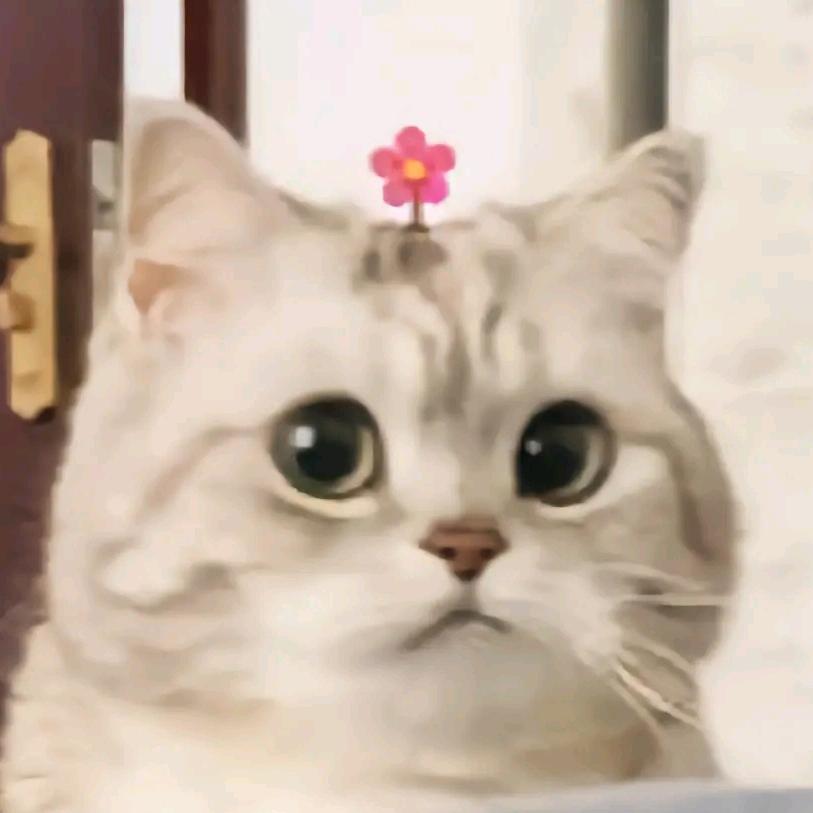 书相缘