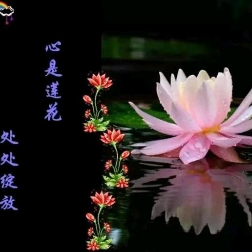 风雨俪人