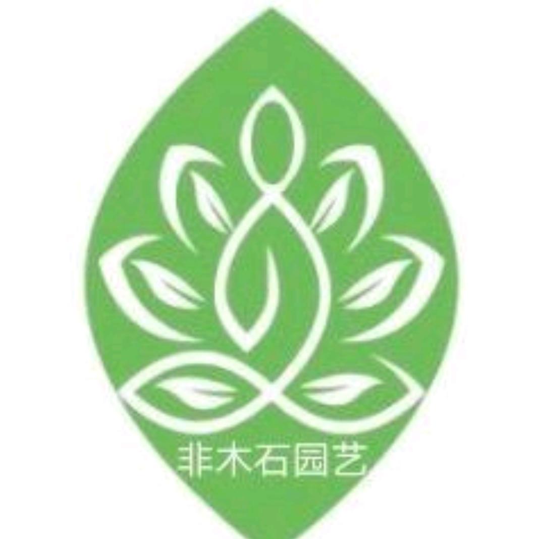 （苏妹园艺）非木花卉