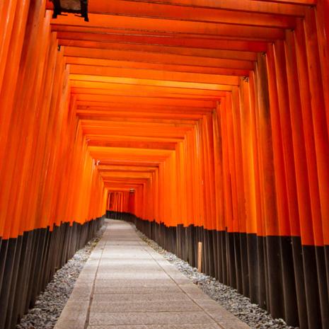 呼啦圈的小胖子