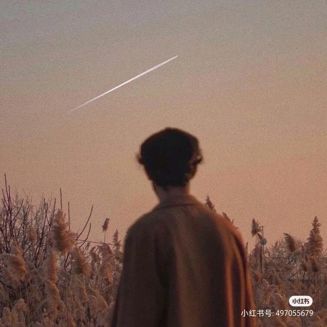 🌈挽风
