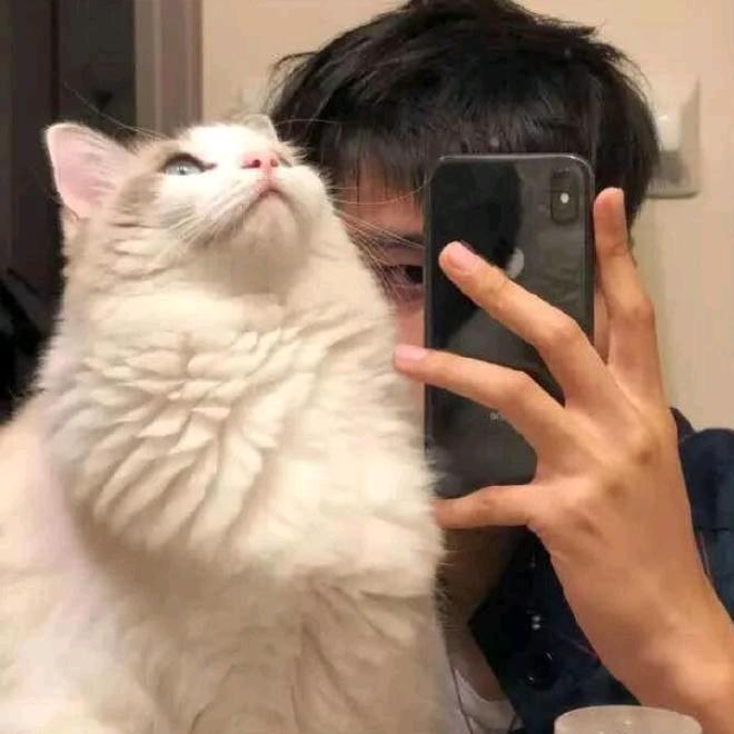 烧仙草